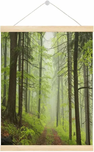 Malquwr Trail Poster 16X24 Inch Foggy Spring forest Art Posters for Dorm Home Office Classroom