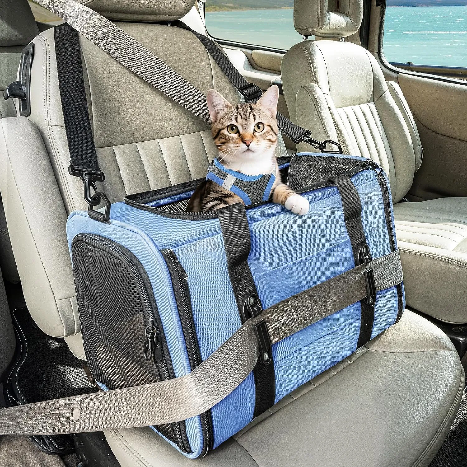 PETSFIT Soft-Sided Cat Carriers & Car Seats with Patent Safe Buckles, Clip-On Harness，18"x11"x11" Airline Approved Pet Carrier - 9 lbs Capacity (Blue)
