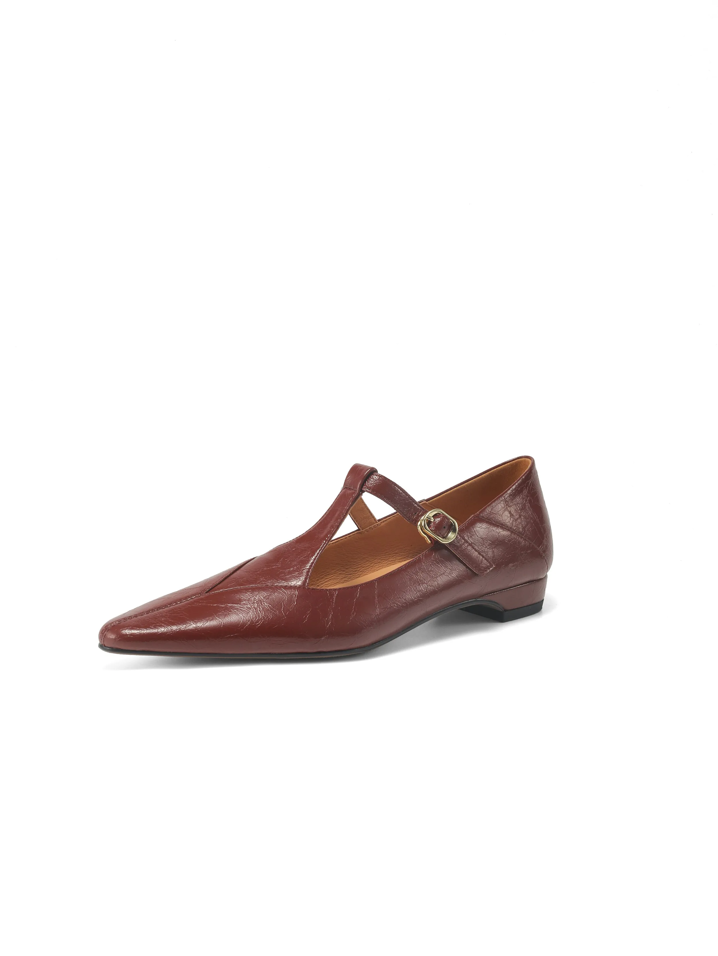 Sheepskin Pointed Toe T-Strap Buckle Low Heel Mary Jane Dress Shoes Women's Shoes