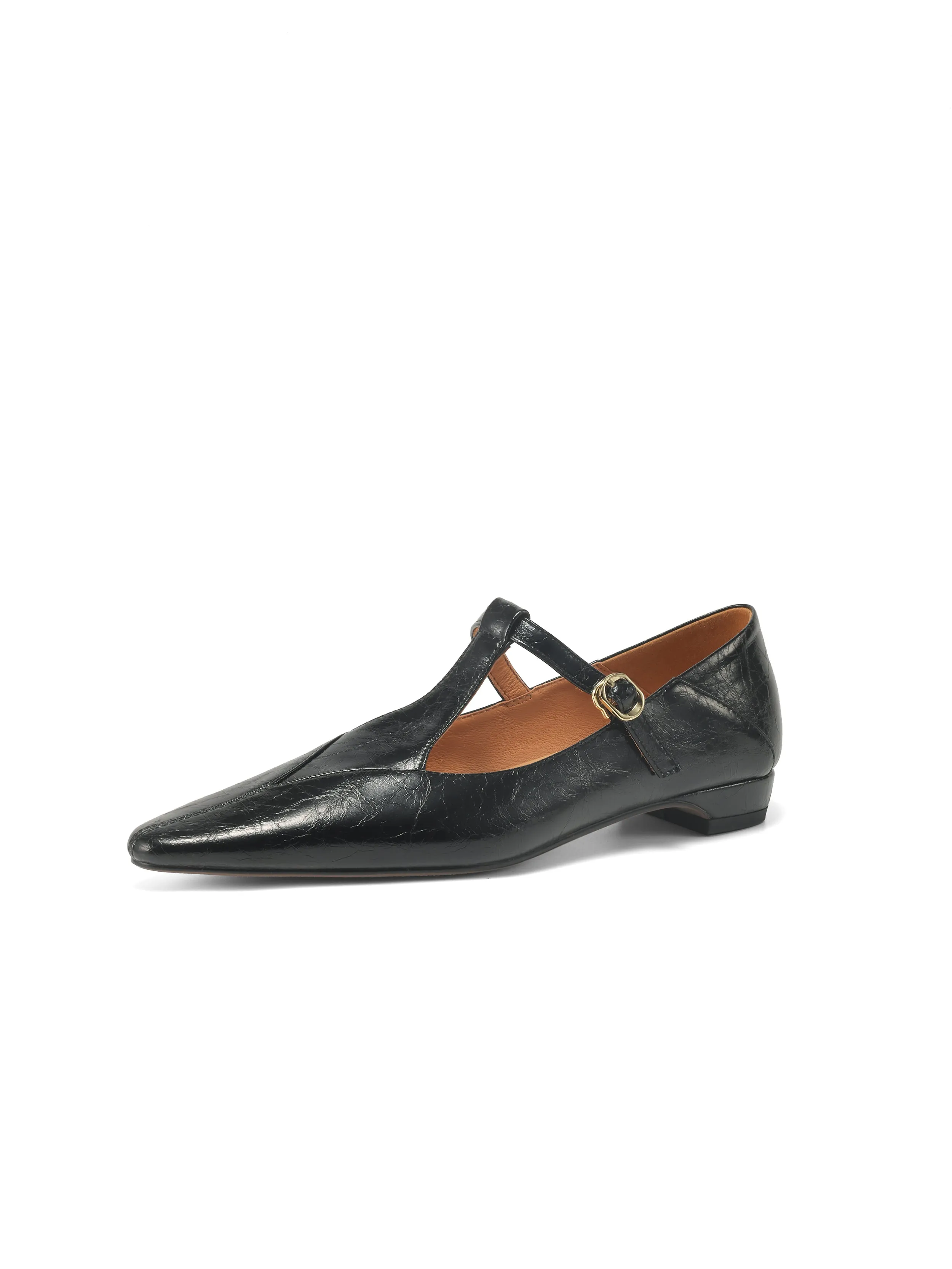 Sheepskin Pointed Toe T-Strap Buckle Low Heel Mary Jane Dress Shoes Women's Shoes