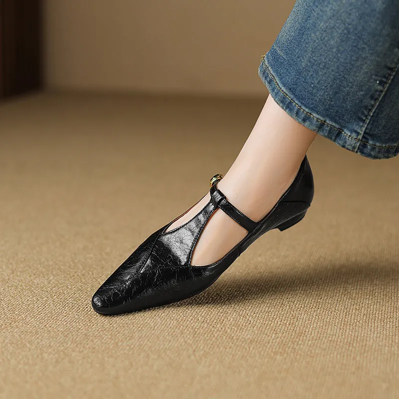 Sheepskin Pointed Toe T-Strap Buckle Low Heel Mary Jane Dress Shoes Women's Shoes