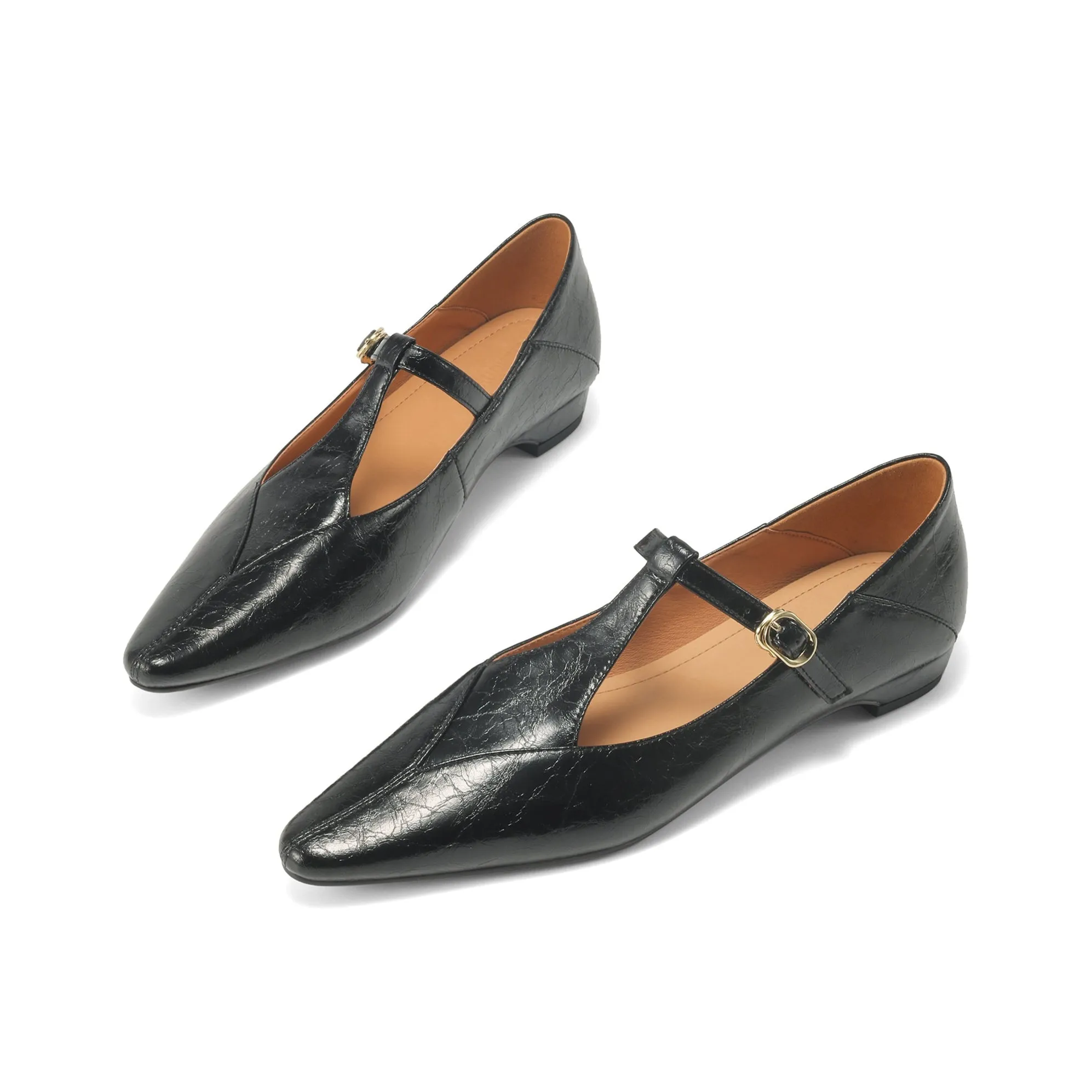 Sheepskin Pointed Toe T-Strap Buckle Low Heel Mary Jane Dress Shoes Women's Shoes