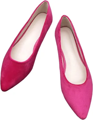 WENJIAZHIZHI Women's Pointed Toe Ballet Flats Elegant Slip-Ons Female Flat Shoes Comfortable Work Shoes Female Loafers